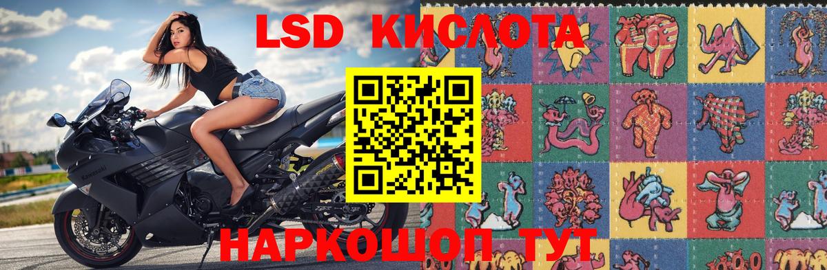 Котовск  Наркотические марки 1500мкг  Марки N-bome  Вход с VPN  Наркотические марки 1500мкг 